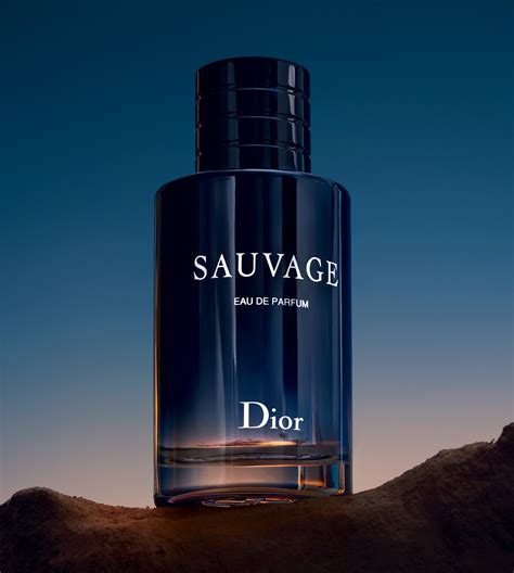 dior parfum heren aanbieding|where to buy dior perfume.